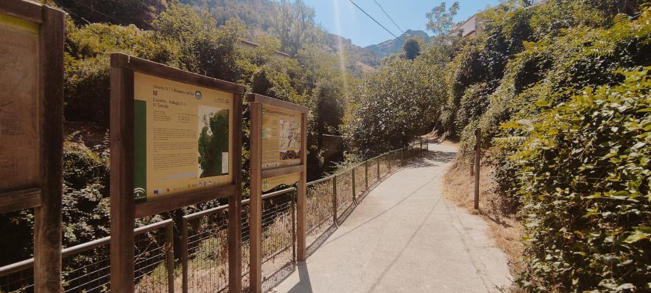 Alojamientos Puerta Del Parque Cazorla Esterno foto